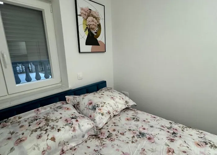 Galeb * بيبينيا